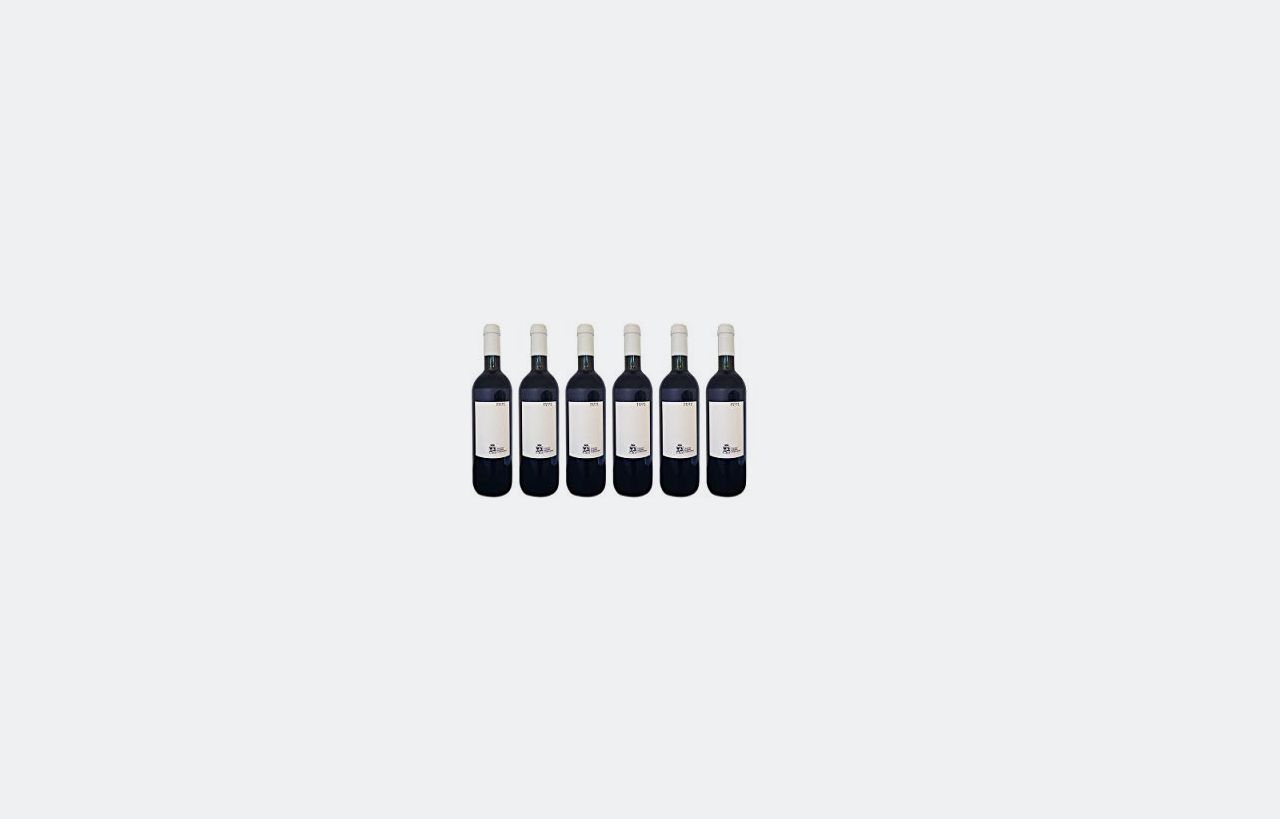 Migliori Vini Rossi Biodinamici e Naturali del 2026